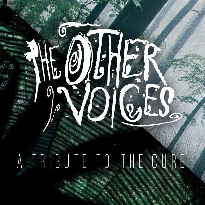 The other voices, artiste live Nouvelle-Aquitaine