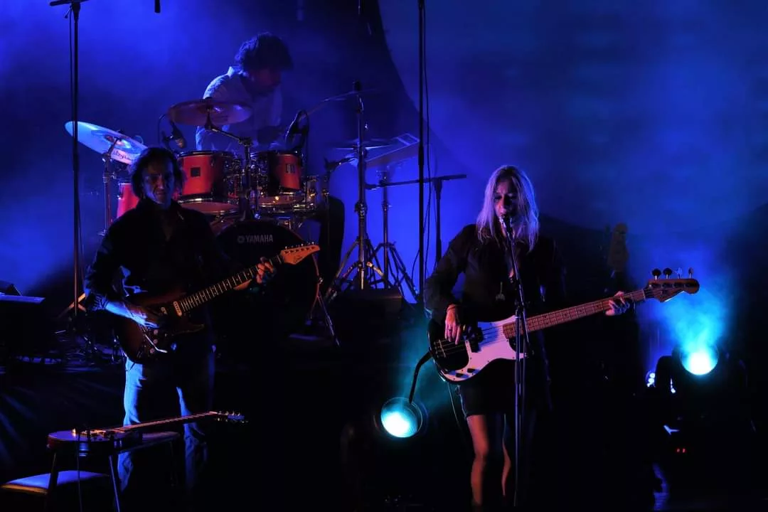 Think Floyd, artiste live Nouvelle-Aquitaine